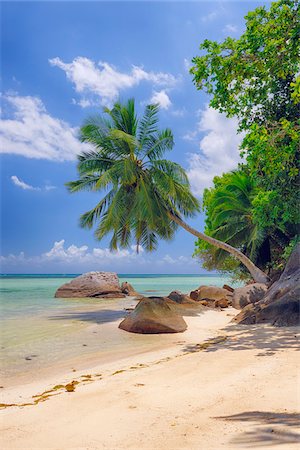 exótico - Rocks and Palm Trees at Beach, Anse a la Mouche, Mahe, Seychelles Foto de stock - Sin royalties Premium, Código: 600-07653906