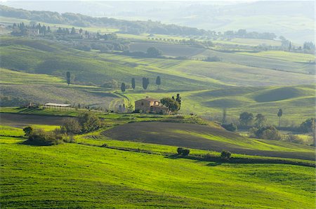 Countryside, Pienza, Val d'Orcia, Province of Siena, Tuscany, Italy Foto de stock - Sin royalties Premium, Código: 600-07674825