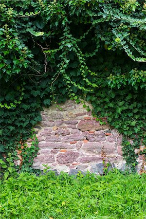 Stone Wall with Ivy (Hedera helix), Hesse, Germany Stock Photo - Premium Royalty-Free, Code: 600-07708370
