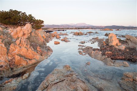 dawn - Scenic of shoreline, Capo Comino, Siniscola, Nuoro Province, Sardinia, Italy Stock Photo - Premium Royalty-Free, Code: 600-07769848