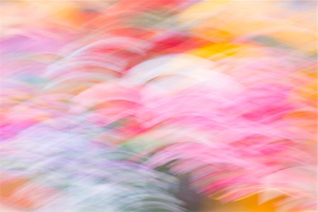 pink white - Abstract Blurred Background Stock Photo - Premium Royalty-Free, Code: 600-07784411