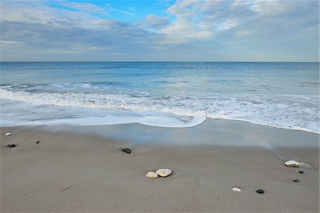 simsearch:851-02960085,k - Shells on sandy beach with surf at low tide, Helgoland, Germany Stock Photo - Premium Royalty-Free, Code: 600-07784542