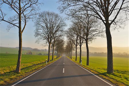 simsearch:600-03075137,k - Country road in the morning, Echte, Kalefeld, Harz, Lower Saxony, Germany Photographie de stock - Premium Libres de Droits, Code: 600-07802689