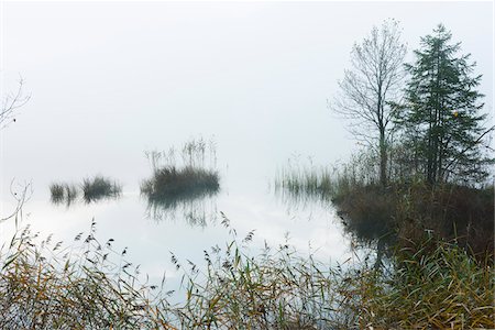 simsearch:600-06471298,k - Lake Barmsee in Morning Mist, Werdenfelser Land, Upper Bavaria, Bavaria, Germany Photographie de stock - Premium Libres de Droits, Code: 600-07802846