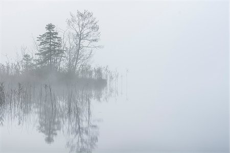 Lake Barmsee in Morning Mist, Werdenfelser Land, Upper Bavaria, Bavaria, Germany Stockbilder - Premium RF Lizenzfrei, Bildnummer: 600-07802850