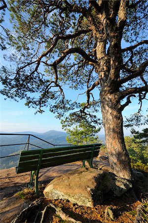 simsearch:700-07968193,k - Observation Point on Mountain with Bench, Hochstein, Dahn, Dahner Felsenland, Pfalzerwald, Rhineland-Palatinate, Germany Foto de stock - Sin royalties Premium, Código: 600-07802899