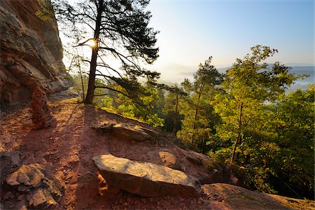 simsearch:6119-09252751,k - Sandstone Rock in Forest with Sun, Hochstein, Dahn, Dahner Felsenland, Pfalzerwald, Rhineland-Palatinate, Germany Fotografie stock - Premium Royalty-Free, Codice: 600-07802891