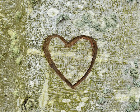 Carved Heart on Tree, Nienhagen, Bad Doberan, Western Pomerania, Germany Stockbilder - Premium RF Lizenzfrei, Bildnummer: 600-07802905