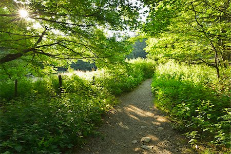 rhoen - Trail to Mountain Top with Sun, Danzwiesen, Milseburg, Rhon Mountain Range, Hesse, Germany Foto de stock - Sin royalties Premium, Código: 600-07844577