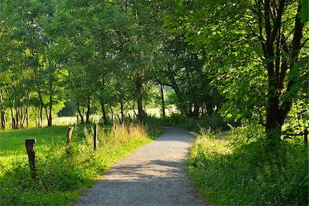 fence post - Trail to Mountain Top, Danzwiesen, Milseburg, Rhon Mountain Range, Hesse, Germany Stock Photo - Premium Royalty-Free, Code: 600-07844578