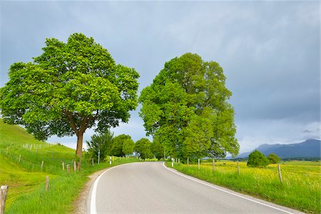Country Road in Spring, Riegsee, Garmisch-Partenkirchen, Upper Bavaria, Bavaria, Germany Stockbilder - Premium RF Lizenzfrei, Bildnummer: 600-07844597