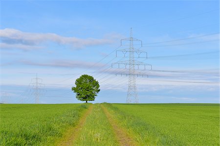 Power Line with Tree and Tire Tracks through Field, Schwabhausen, Upper Bavaria, Bavaria, Germany Photographie de stock - Premium Libres de Droits, Code: 600-07844591