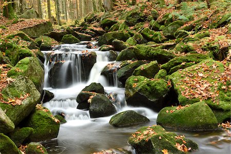 Landscape of a river (Kleine Ohe) flowing through the forest in autumn, Bavarian Forest National Park, Bavaria, Germany Stock Photo - Premium Royalty-Free, Code: 600-07911196