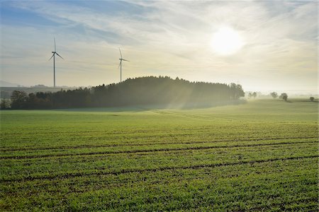 Countryside in Morning with Sun, Freiensteinau, Vogelsbergkreis, Hesse, Germany Foto de stock - Sin royalties Premium, Código: 600-07945045