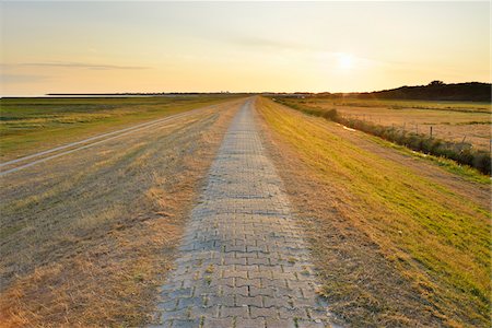 simsearch:600-07945358,k - Dyke Path and fields at Sunset in Summer, Norderney, East Frisia Island, North Sea, Lower Saxony, Germany Stock Photo - Premium Royalty-Free, Code: 600-07945205