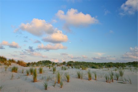 simsearch:6126-08643402,k - Dunes in Summer at sunset, Norderney, East Frisia Island, North Sea, Lower Saxony, Germany Stock Photo - Premium Royalty-Free, Code: 600-07945222