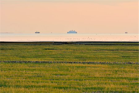 east frisia - Marshland with North Sea and Ships at sunset, Norderney, East Frisia Island, North Sea, Lower Saxony, Germany Foto de stock - Sin royalties Premium, Código: 600-07945258