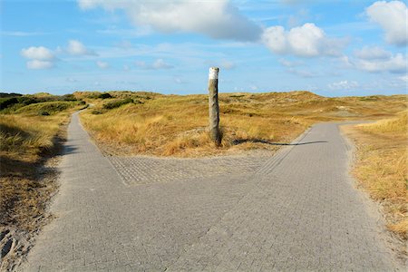post (structural support) - Forked Path through the Dunes to the Beach, Summer, Norderney, East Frisia Island, North Sea, Lower Saxony, Germany Stock Photo - Premium Royalty-Free, Code: 600-07945269
