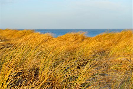 Sand Dunes with Sea, Helgoland, Dune, North Sea, Island, Schleswig Holstein, Germany Foto de stock - Sin royalties Premium, Código: 600-07945346