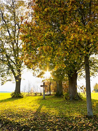 Wayside Cross, Weser Hills, North Rhine-Westphalia, Germany Photographie de stock - Premium Libres de Droits, Code: 600-07965885