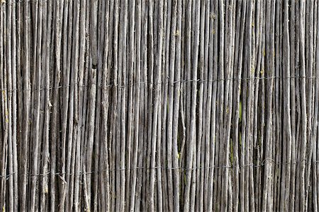 Close-up of Fence made from Thin Wooden Sticks, Royan, Charente-Maritime, France Stock Photo - Premium Royalty-Free, Code: 600-07966210