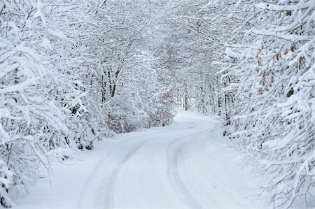 simsearch:700-05762058,k - Snowy Road through Forest in Winter, Upper Palatinate, Bavaria, Germany Stock Photo - Premium Royalty-Free, Code: 600-07968157