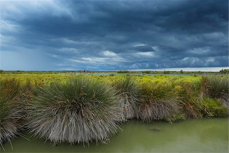 Thunder Storm over Countryside, Camargue, Bouches-du-Rhone, Provence-Alpes-Cote d'Azur, France Photographie de stock - Premium Libres de Droits, Code: 600-07968198