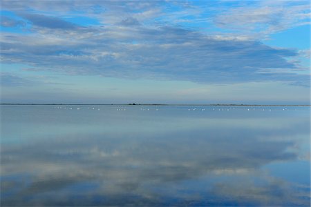 Lake in Morning, Enfores de la Vignolle, Saintes-Maries-de-la-Mer, Camargue, Bouches-du-Rhone, Provence-Alpes-Cote d'Azur, France Photographie de stock - Premium Libres de Droits, Code: 600-07968205