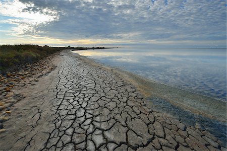 Cracked Dry Mud Shore at Lake in Summer, Enfores de la Vignolle, Digue a la Mer, Camargue, Bouches-du-Rhone, Provence-Alpes-Cote d'Azur, France Fotografie stock - Premium Royalty-Free, Codice: 600-07968207