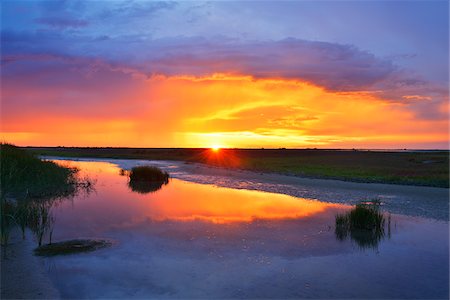 Marshland at Sunset, Digue a la Mer, Camargue, Bouches-du-Rhone, Provence-Alpes-Cote d'Azur, France Stock Photo - Premium Royalty-Free, Code: 600-07968201