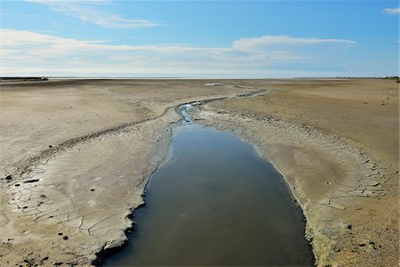 dry cracking earth - Marshland in Summer, Digue a la Mer, Camargue, Bouches-du-Rhone, Provence-Alpes-Cote d'Azur, France Stock Photo - Premium Royalty-Free, Code: 600-07968214