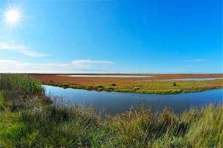 provence-alpes-côte d'azur - Marshland with Sun in Summer, Digue a la Mer, Camargue, Bouches-du-Rhone, Provence-Alpes-Cote d'Azur, France Stock Photo - Premium Royalty-Free, Code: 600-07968215