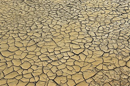 digue a la mer - Cracked Dry Ground, Digue a la Mer, Camargue, Bouches-du-Rhone, Provence-Alpes-Cote d'Azur, France Foto de stock - Sin royalties Premium, Código: 600-07968210