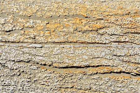 Driftwood Detail, Saintes-Maries-de-la-Mer, Camargue, Bouches-du-Rhone, Provence-Alpes-Cote d'Azur, France Foto de stock - Sin royalties Premium, Código: 600-07968224