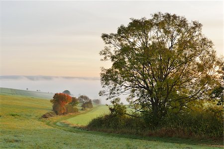 raimund linke - Countryside with Morning Mist in Autumn, Nastatten, Rhein-Lahn-Kreis, Rhineland-Palatinate, Germany Stockbilder - Premium RF Lizenzfrei, Bildnummer: 600-07968229