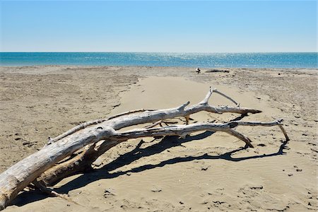 Driftwood on Sandy Beach, Mediterranean Sea, Saintes-Maries-de-la-Mer, Camargue, Bouches-du-Rhone, Provence-Alpes-Cote d'Azur, France Fotografie stock - Premium Royalty-Free, Codice: 600-07968220