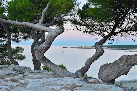 Anse de Sainte Croix with Pine Trees at Dawn, La Couronne, Martigues, Cote Bleue, Mediterranean Sea, Bouches-du-Rhone, Provence-Alpes-Cote d'Azur, France Stock Photo - Premium Royalty-Free, Code: 600-07991522