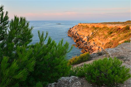 Stone Coast in Morning, Anse de Boumandariel, La Couronne, Martigues, Cote Bleue, Mediterranean Sea, Bouches-du-Rhone, Provence-Alpes-Cote d'Azur, France Foto de stock - Royalty Free Premium, Número: 600-07991545