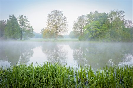 scenic and spring season - Lake on Misty Morning in Spring, Park Schonbusch, Aschaffenburg, Lower Franconia, Bavaria, Germany Stock Photo - Premium Royalty-Free, Code: 600-08007011