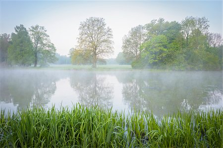 Lake on Misty Morning in Spring, Park Schonbusch, Aschaffenburg, Lower Franconia, Bavaria, Germany Photographie de stock - Premium Libres de Droits, Code: 600-08007011