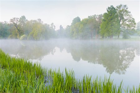 park schonbusch - Lake and Reed on Misty Morning, Park Schonbusch, Aschaffenburg, Lower Franconia, Bavaria, Germany Stock Photo - Premium Royalty-Free, Code: 600-08007012
