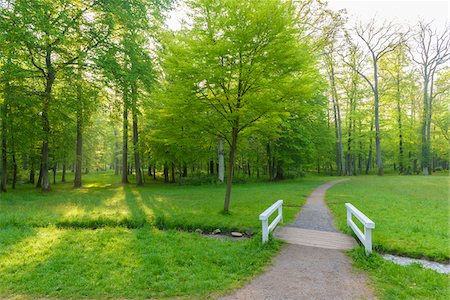 Wooden Bridge in Early Spring, Park Schonbusch, Aschaffenburg, Lower Franconia, Bavaria, Germany Stock Photo - Premium Royalty-Free, Code: 600-08007020