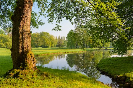 Tree Trunk by Lake in Spring, Park Schonbusch, Aschaffenburg, Lower Franconia, Bavaria, Germany Photographie de stock - Premium Libres de Droits, Code: 600-08007023