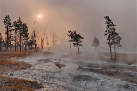 Small Stream with Rising Steam near Sunrise, Firehole Lake Drive, Yellowstone National Park, Wyoming, USA Foto de stock - Sin royalties Premium, Código: 600-08002207