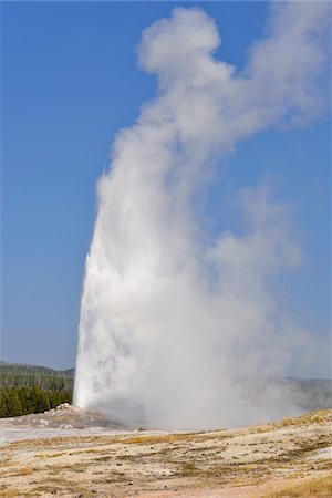 parque nacional yellowstone - Old Faithful Geyser Erupting, Upper Geyser Basin, Yellowstone National Park, Wyoming, USA Foto de stock - Sin royalties Premium, Código: 600-08002223