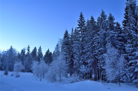 simsearch:600-08002472,k - Landscape of Forest in Winter by Moonlight at Night, Bavarian Forest, Bavaria, Germany Foto de stock - Sin royalties Premium, Código: 600-08002478