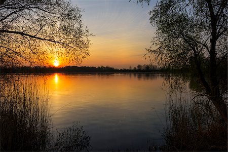 Trees and lake at Sunrise in Early Spring, Riedstadt, Hesse, Germany Foto de stock - Sin royalties Premium, Código: 600-08002595