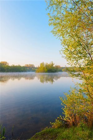 simsearch:600-07599973,k - Lake with mist and Trees in Early Morning Light, Early Spring, Hanau, Erlensee, Germany Stock Photo - Premium Royalty-Free, Code: 600-08002609