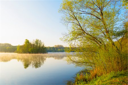 placid lake - Lake with mist and Trees in Early Morning Light, Early Spring, Hanau, Erlensee, Germany Stock Photo - Premium Royalty-Free, Code: 600-08002611