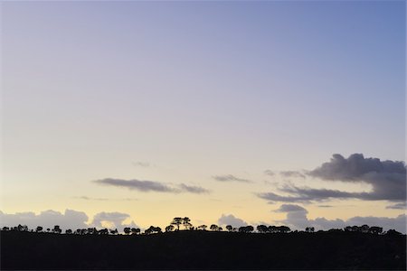 Countryside at Dawn, Blue Lake, Mount Gambier, South Australia, Australia Photographie de stock - Premium Libres de Droits, Code: 600-08026083